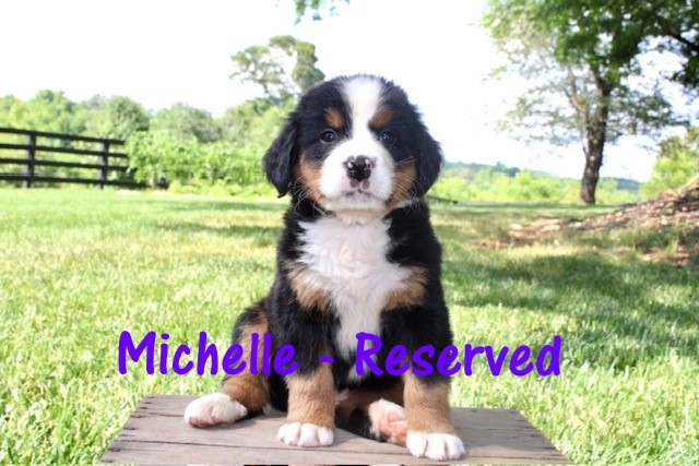 Michelle-6wks