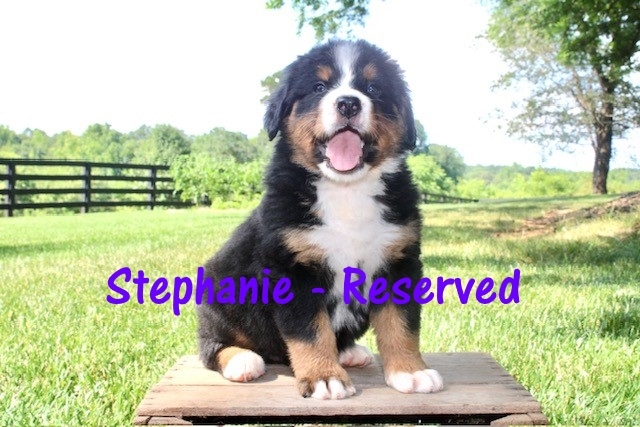 Stephanie-6wks